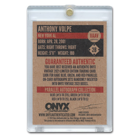Anthony Volpe Autographed Card 2021 Onyx Vintage # VA-AV