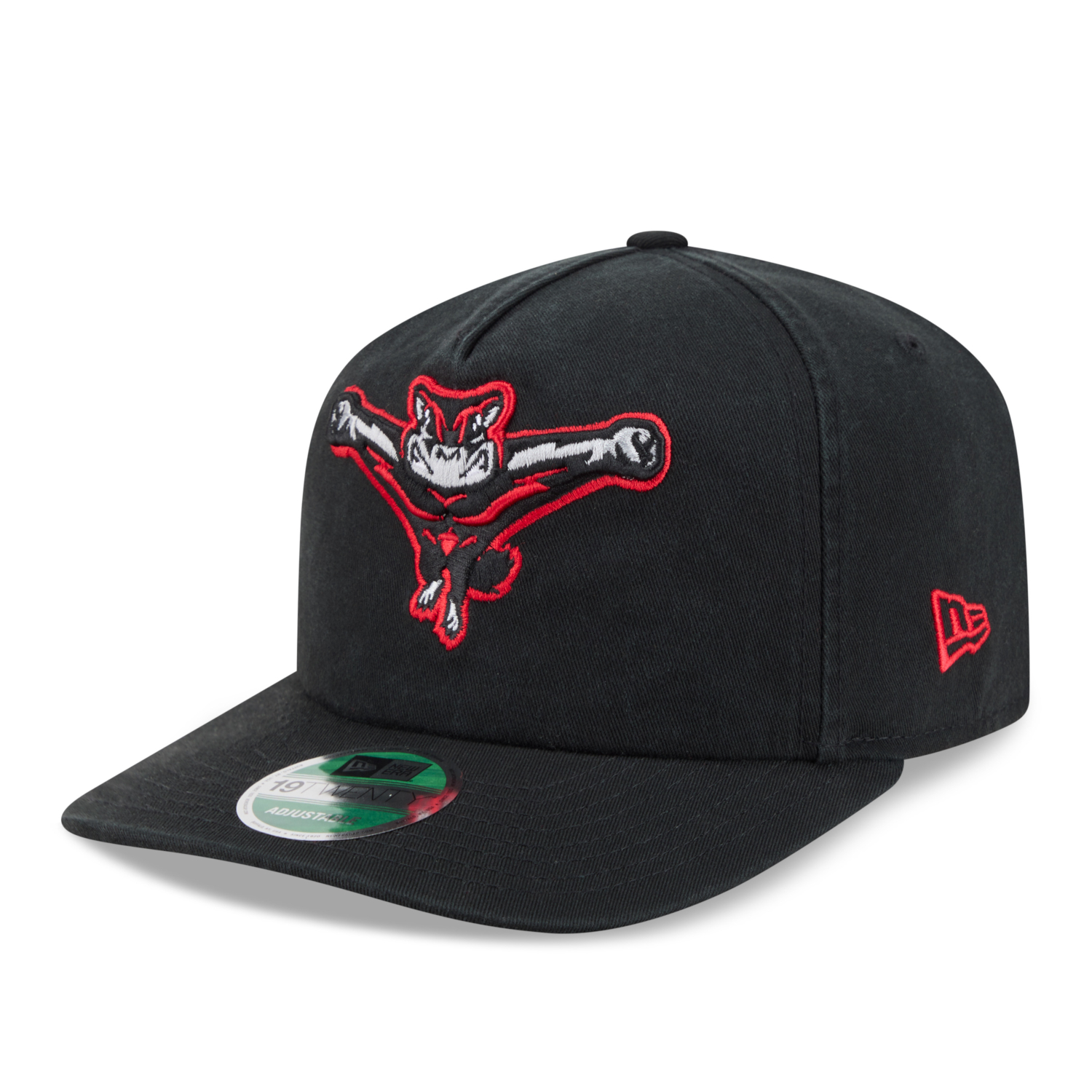 Men's New Era Richmond Flying Squirrels MiLB 19TWENTY Black Snapback Cap