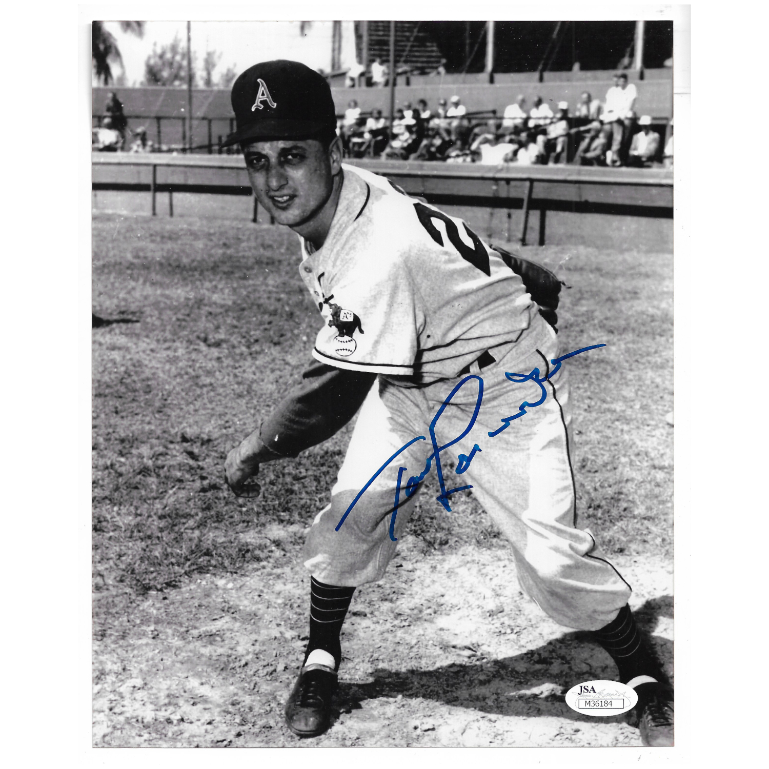 Tommy Lasorda Autographed 8X10 Photograph (JSA-84)
