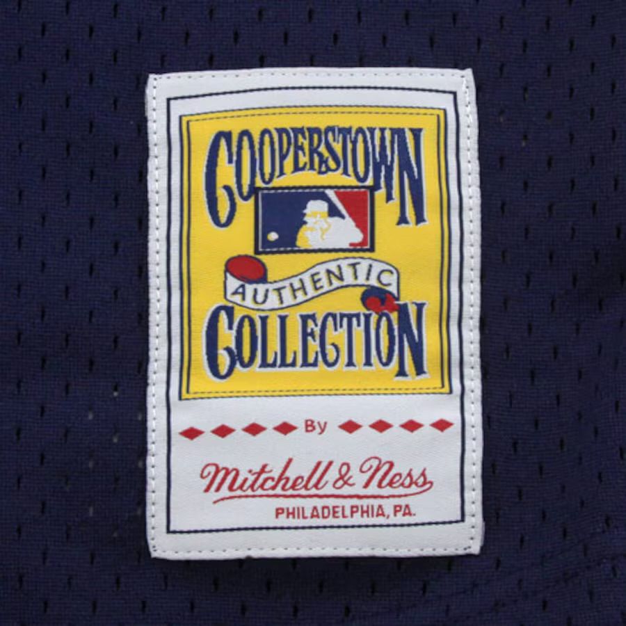 Men’s Mitchell & Ness Alan Trammell Detroit Tigers Authentic Replica 1984 Mesh Batting Practice Jersey