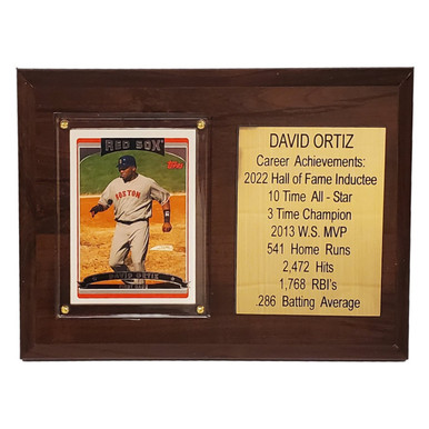 David Ortiz Boston Red Sox 8