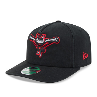 Men's New Era Richmond Flying Squirrels MiLB 19TWENTY Black