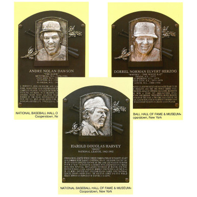 Class-of-2010-Baseball-Hall-of