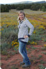 Pemberley Women's Pullover Pattern 