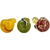Media_1-094079DE-308B-45D5-8939-7DDB10DA1756_final