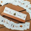72 Daily Routine Cards & Display Stand
