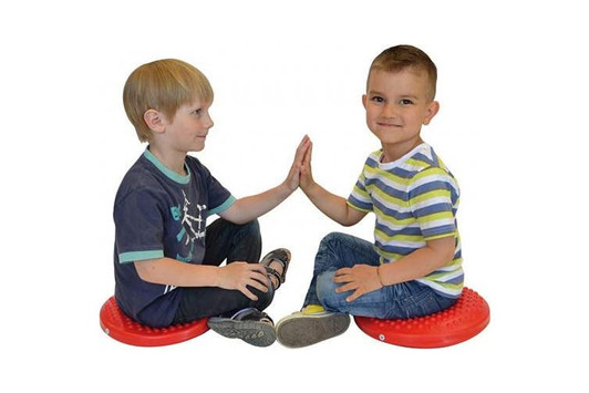 Gymnic Disc 'o' Sit Cushion