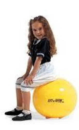 Sit n Gym Ball Chairs Sit n Gym Ball Chairs