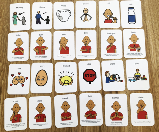 Flashcards - 24 Starter Signs Flashcards - 24 Starter Signs