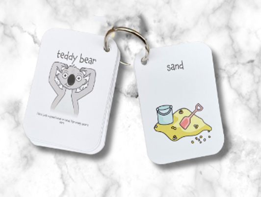 Sunshine Sign & Sing Mini Flashcards - Playroom Signs