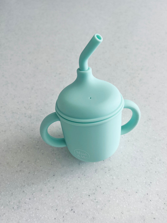 Mini & Me Transitional Straw Sippy Cup