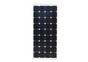 SolarKing 80W Monocrystalline PV