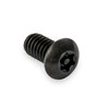 Tamper-Proof Torx Screws Tamper-Proof Torx Screws