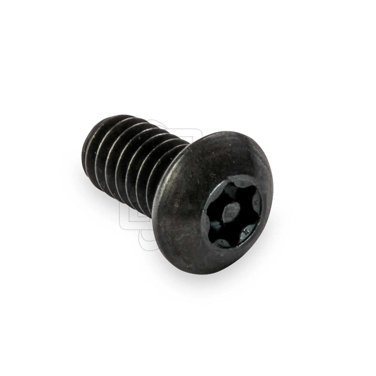 Safety shop torx screw