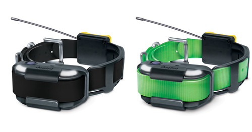 Dogtra Pathfinder 2 Track & Train Collar