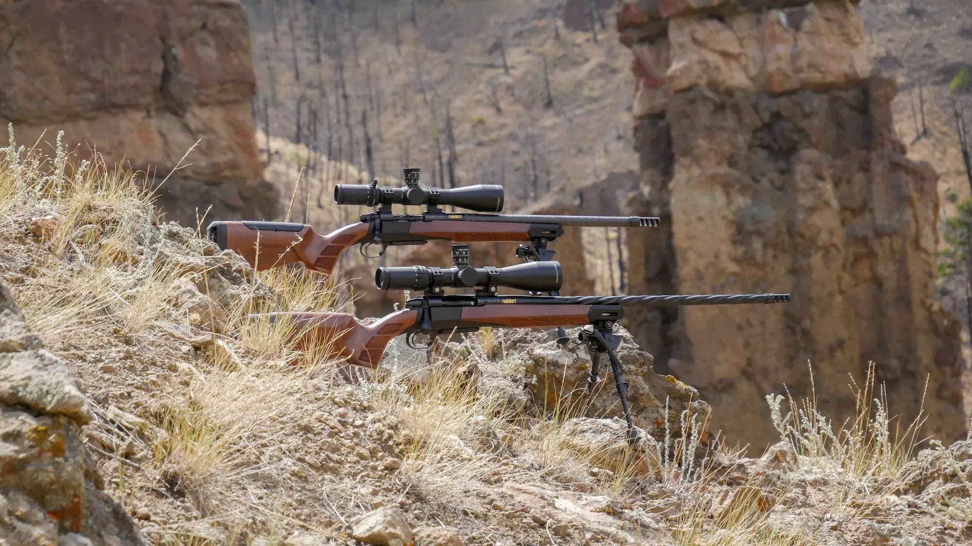Woody Ready To Ship Rifle - Build Choices