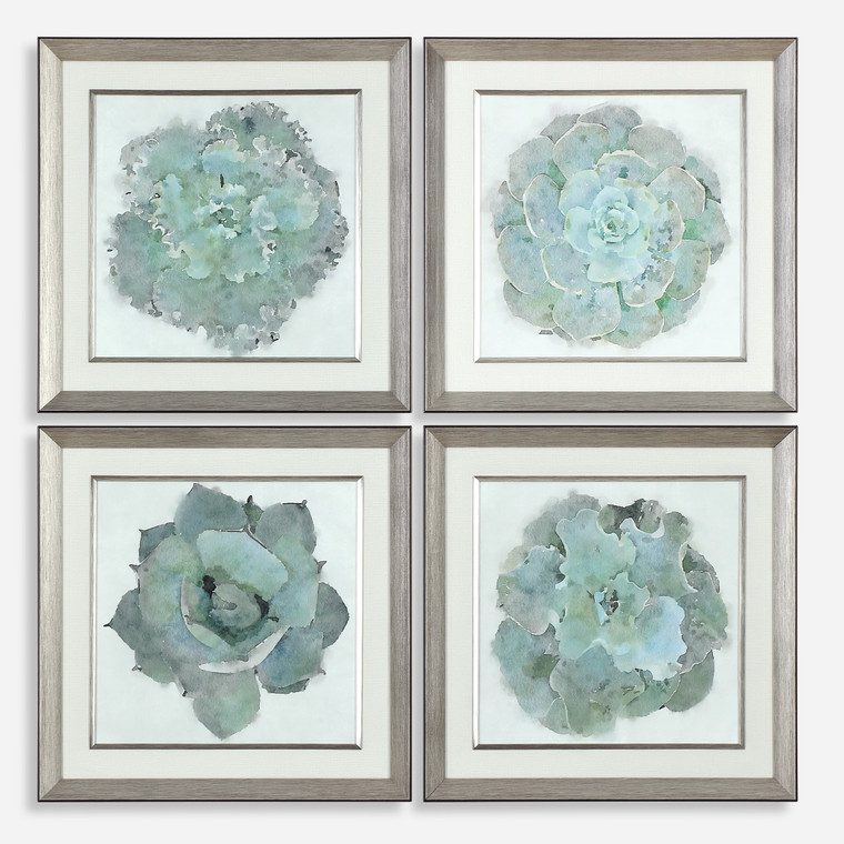 Natural Beauties Framed Prints, Set of 4