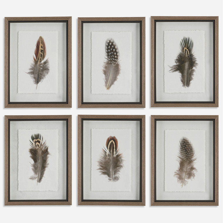 Birds of a Feather Framed Prints, Set of 6