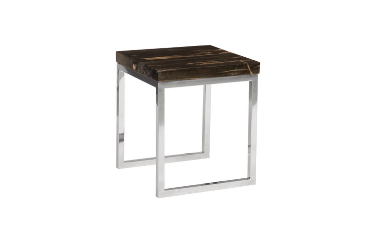 Petrified Wood Side Table | Black, Silver