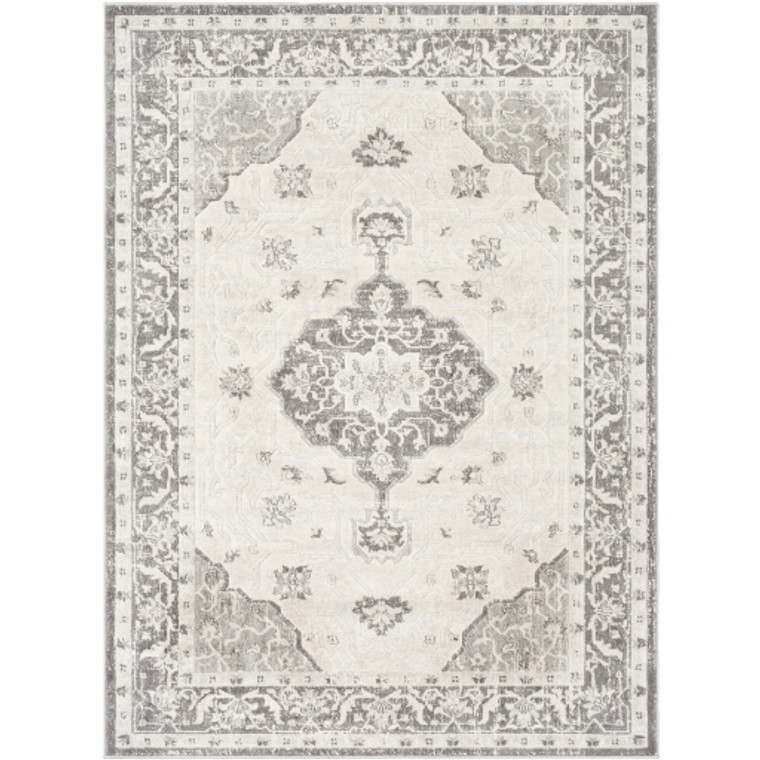 Remy 26469 Machine Woven Rug