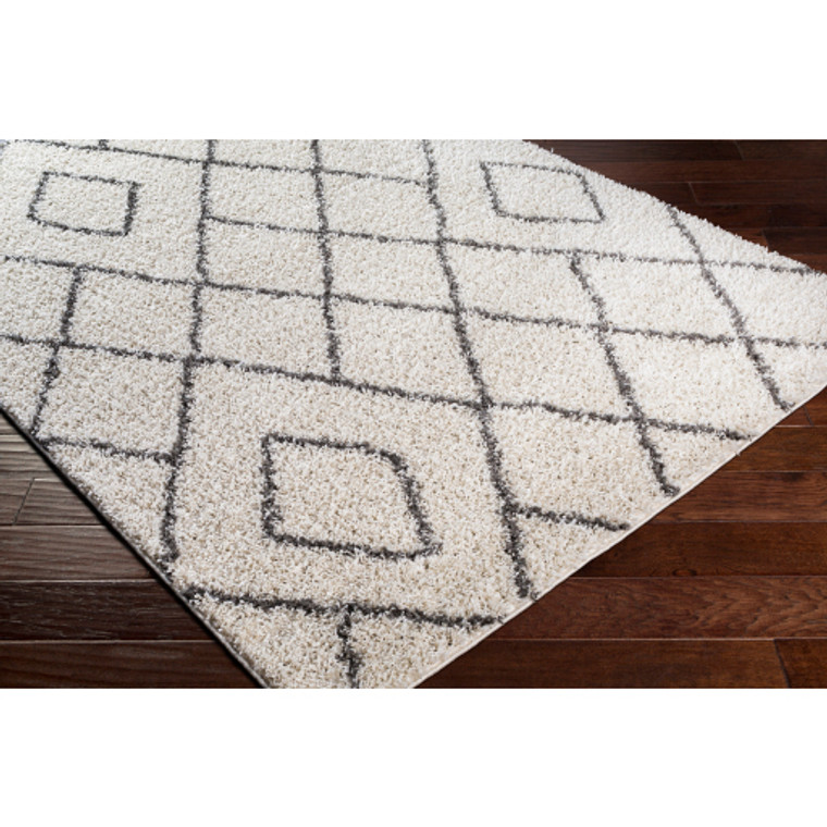 Taza Shag 26757 Machine Woven Rug