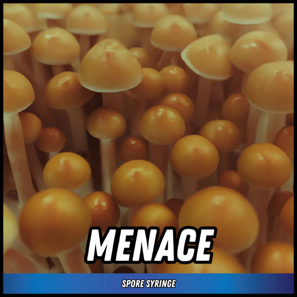 Eden Shrooms Menace Spore Syringe (P. Cubensis) Eden Shrooms Menace Spore Syringe (P. Cubensis)