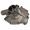 Dauntless 350 water pump