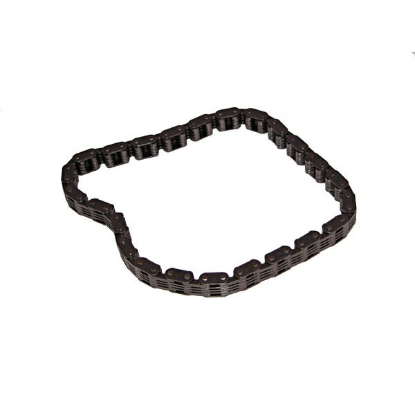 Timing Chain  for 1968-1986 w/4.2 Engine