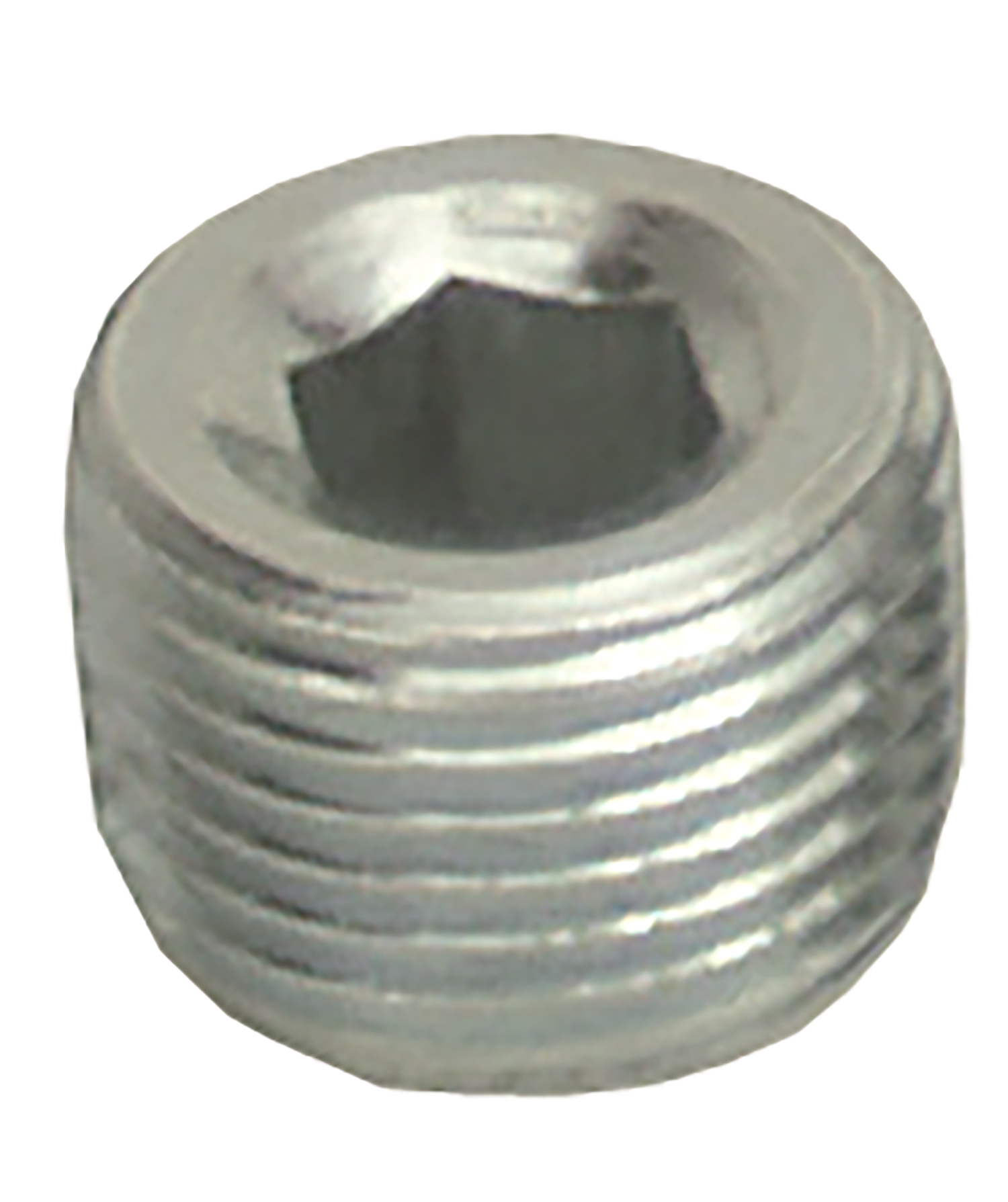 Multi-Purpose Threaded Plug