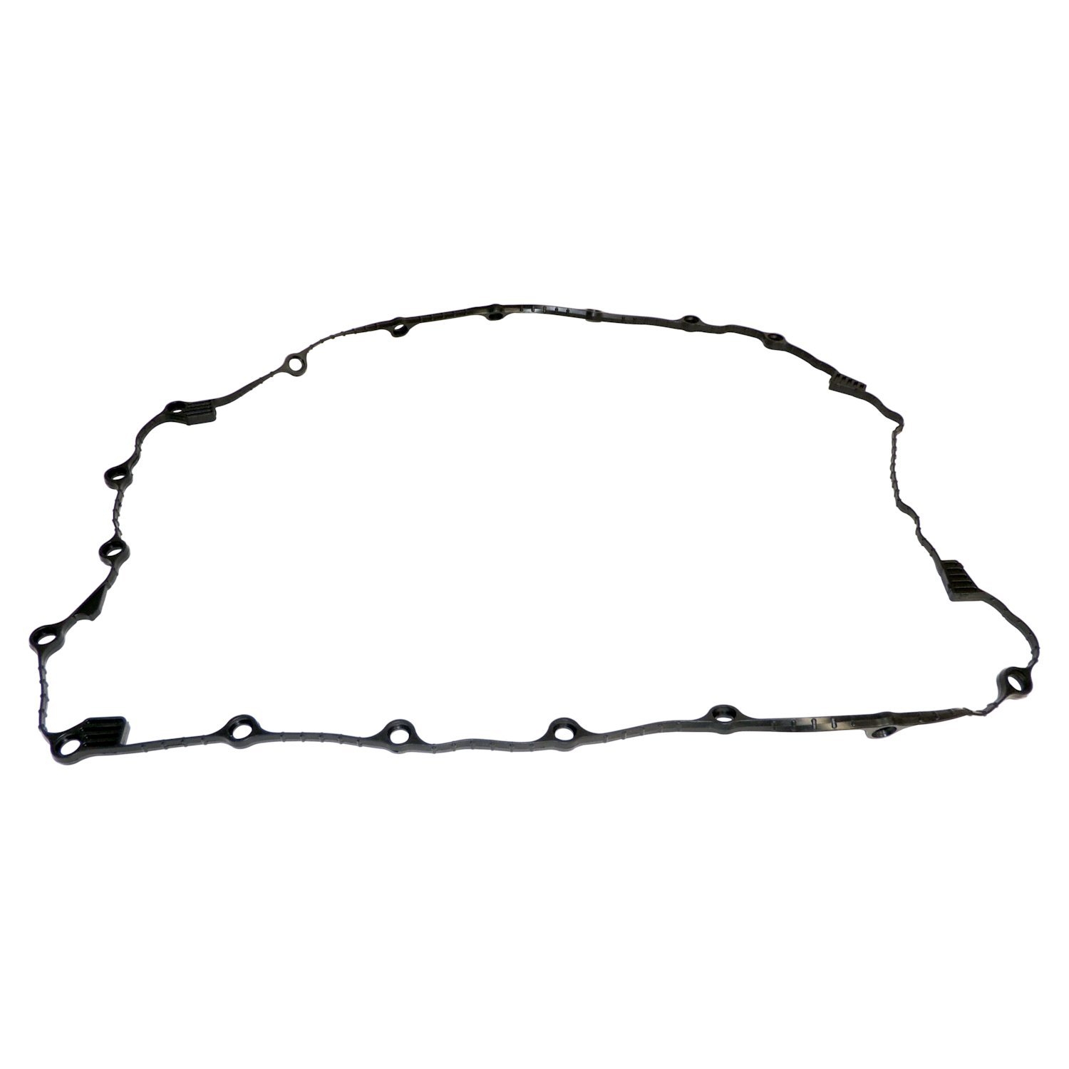 Engine Oil Pan Gasket