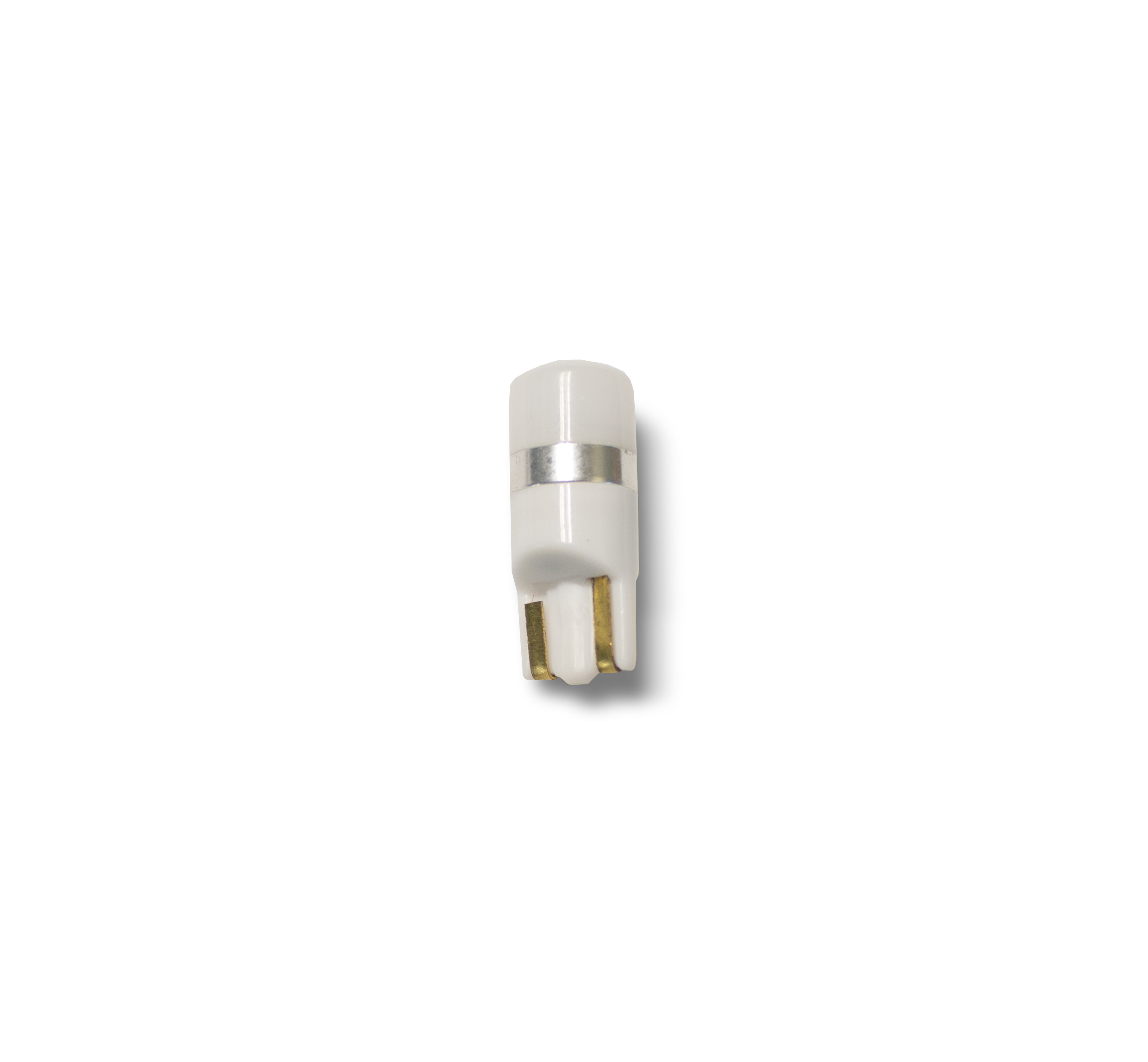 T10 Short Bulb w/ Diffused Dome Cover (White)