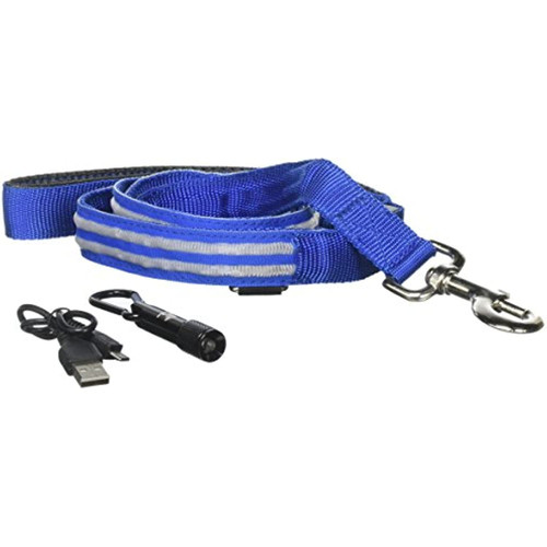 4ID Lite-Up Dog Leash, One Size, Blue