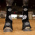 COOLHORSE Reinsman Apex Front Pair Splint Boots- Aqua Floral (Large)