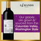 14 Hands Cabernet Sauvignon - 750 mL - 750ML - Glass