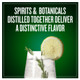 Burnetts Gin - 1.75 L - 1.75L - Glass