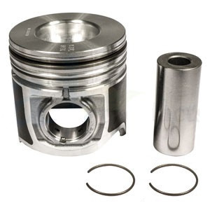 フィトンチッド 8094846 | Piston W/ Rings Std for New Holland®