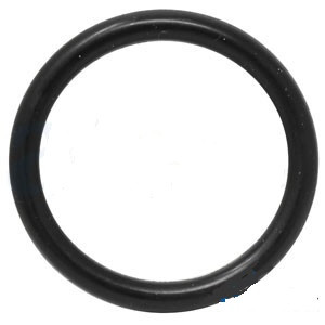 O-Ring 1.109