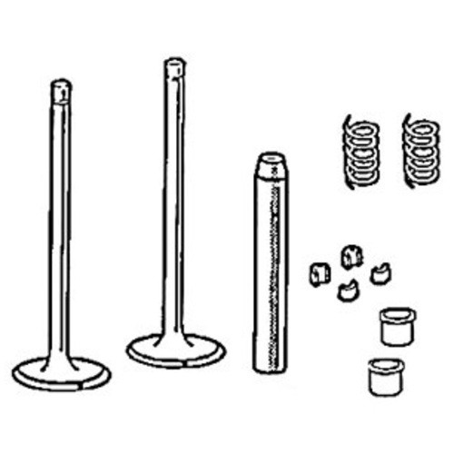 VTK309 | Valve Train Kit for Case®