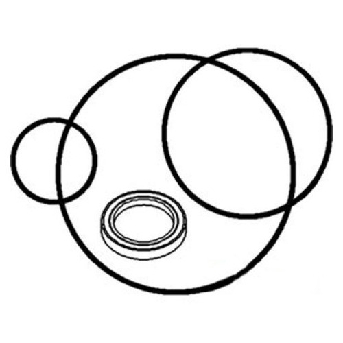 66487C91 | Brake Disc Seal Kit for Case®