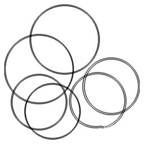 539535R91 | Brake O-Ring Kit, Brake Piston & Differential Bearing Carrier for Case®