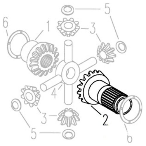 C5NN4239A | Gear, Differential Side for New Holland®
