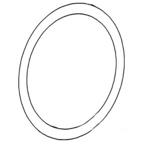 O-Ring (5 pk) for John Deere® | R34812