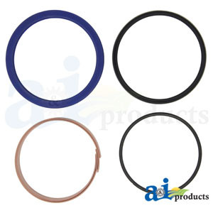 Kit Hydraulic Cylinder Seal (100 MM) for John Deere® | A-AH214615