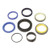 Seal Kit, Hydraulic Cylinder Rod for John Deere® | AHC13485