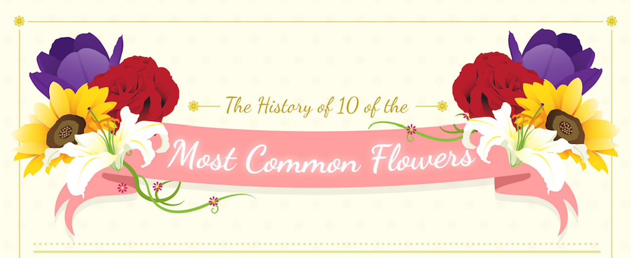 The History of 10 of the Most Common Flowers 