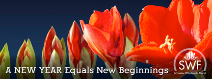 2015 – A Year In Review