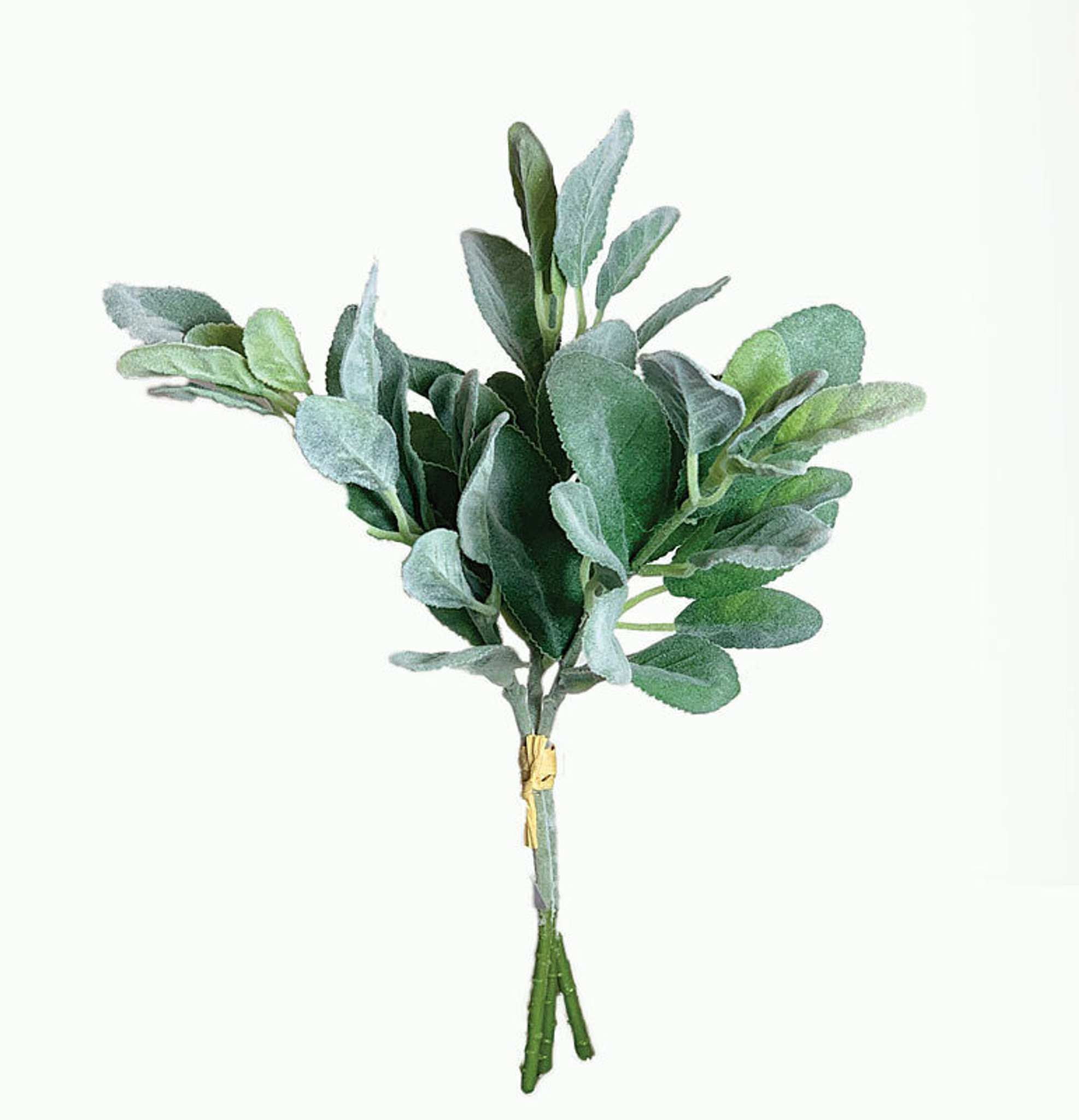 Lamb's ear 14" SBG6103GN SWFlorist