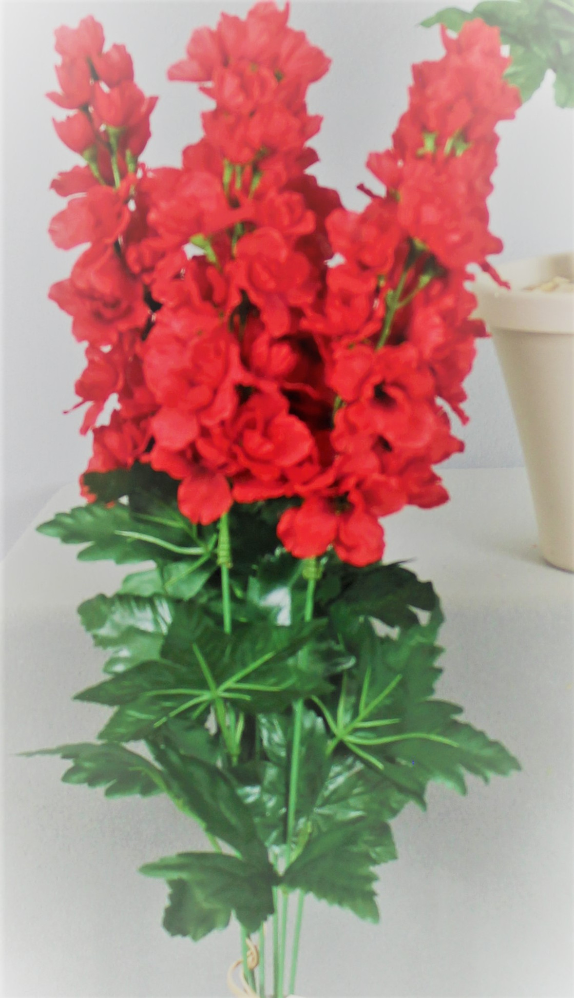 Delphinium red bush x6 SWFlorist