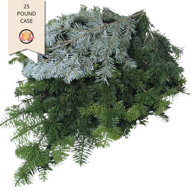 5018 Silver Fir Tips x 25 lbs