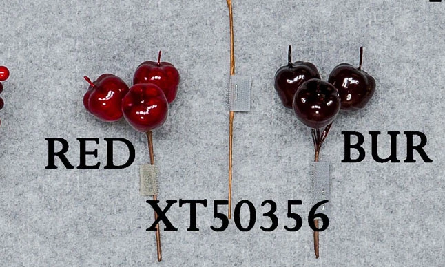FRUIT Apple Cluster Red shiny